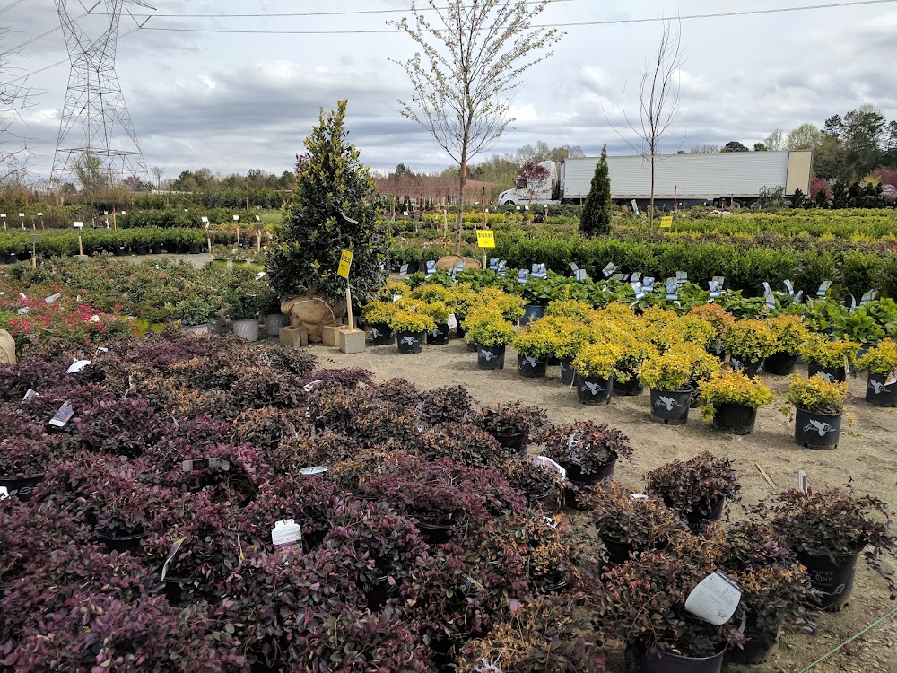 SiteOne Landscape Supply