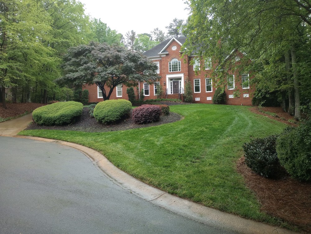 CLT LANDSCAPE LLC