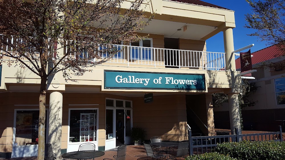 Gallery of Flowers