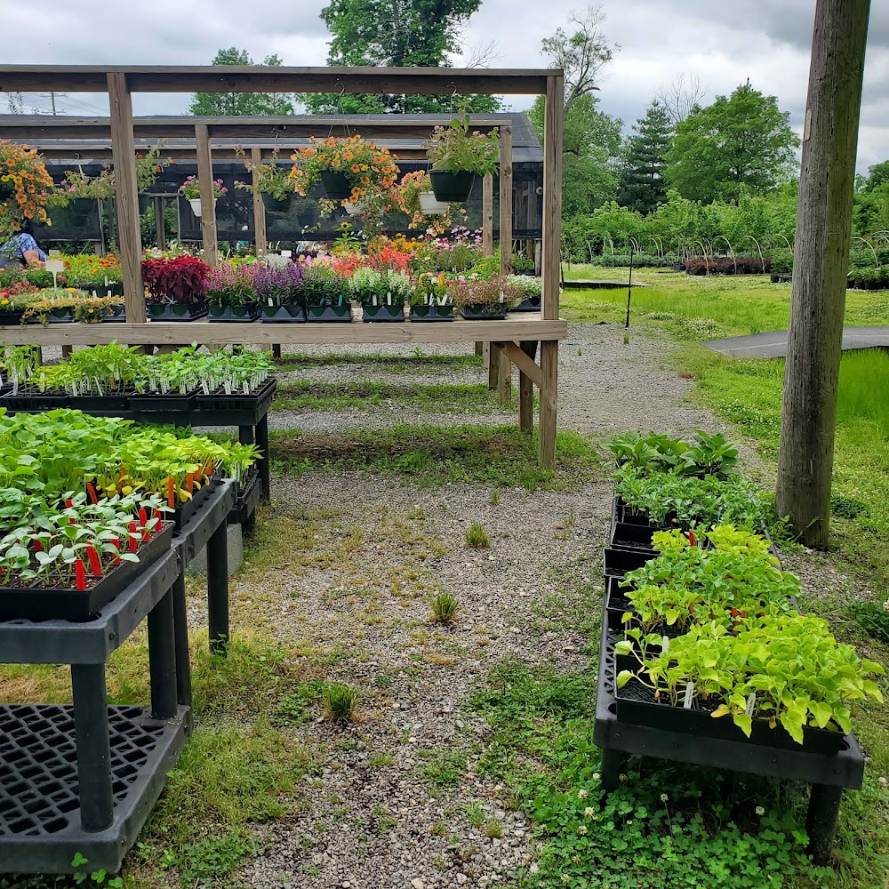 Christy's Nursery