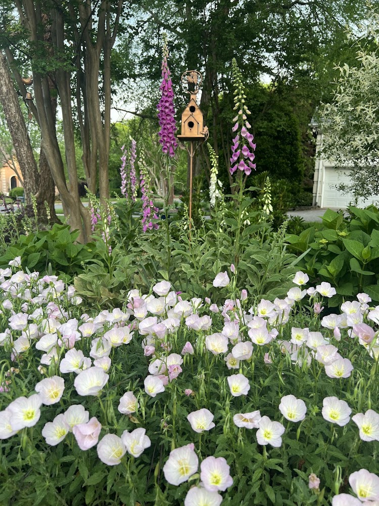 Heather Grace Gardens
