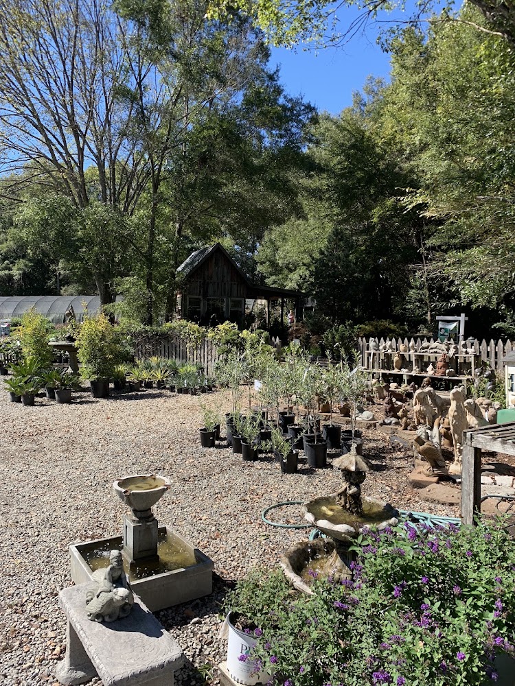 Dearness Gardens Nursery and Landscaping