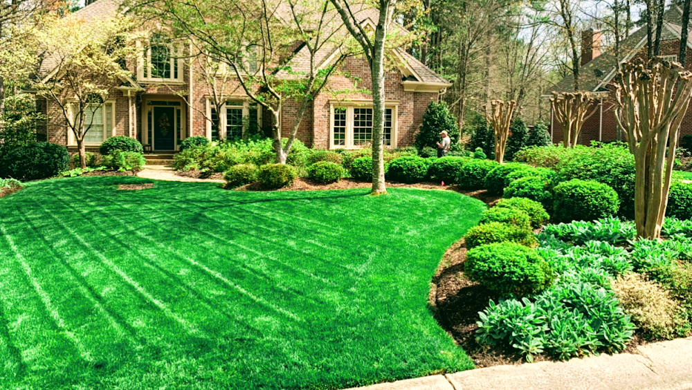 Clean Cut Landscaping