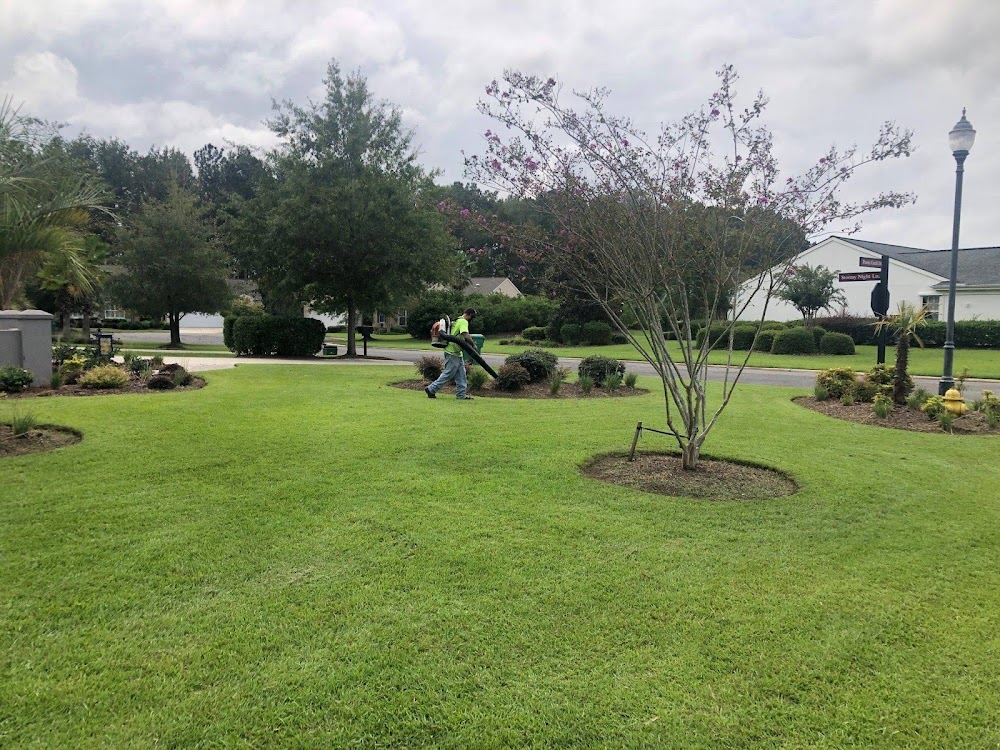 A Cut Above Landscaping