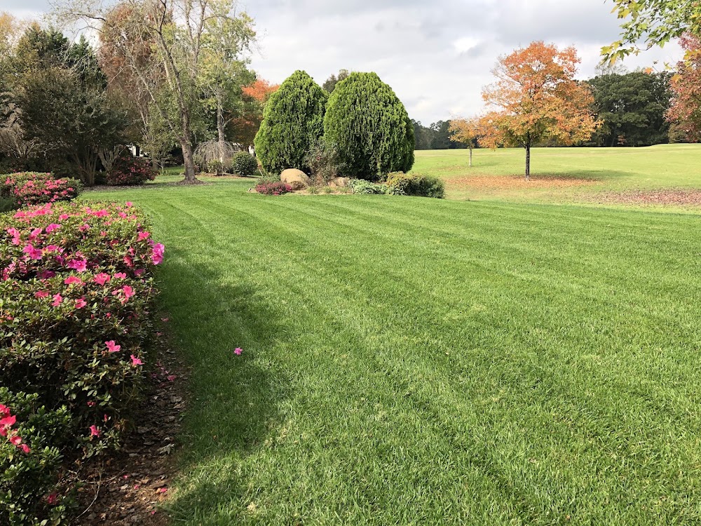 Majestik Home & Lawn