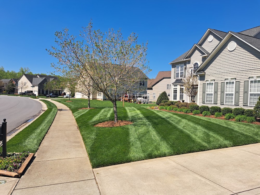 Brad and Bray Landscaping