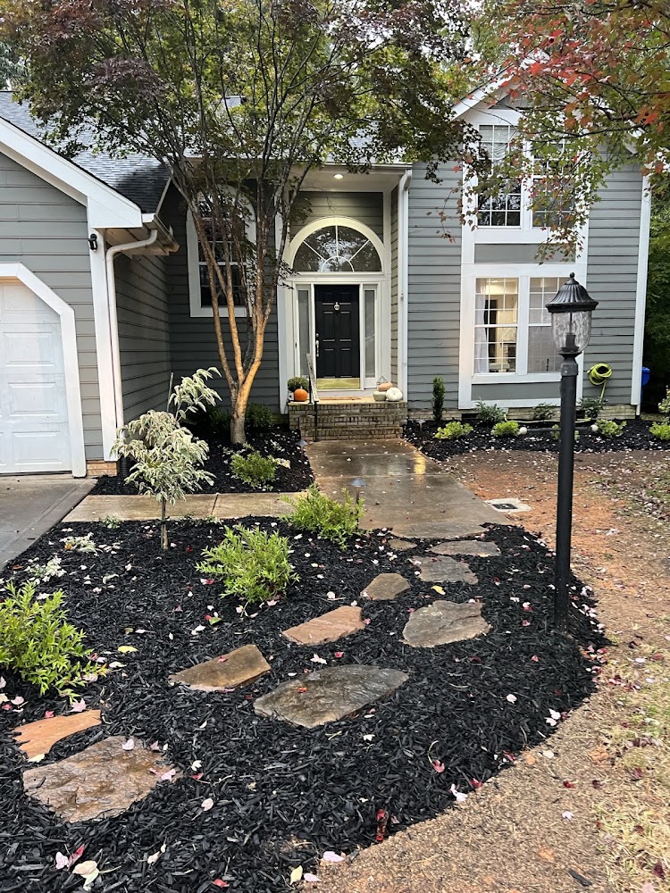 Treetops Established Landscaping