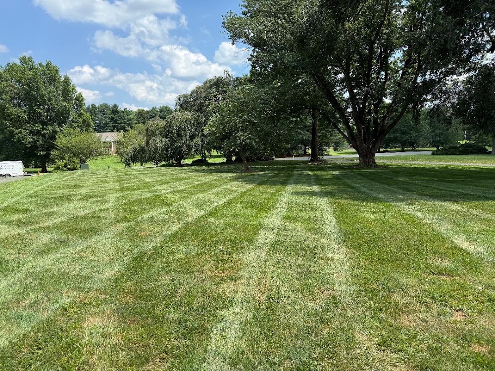 Lawnvale Landscape & Property services