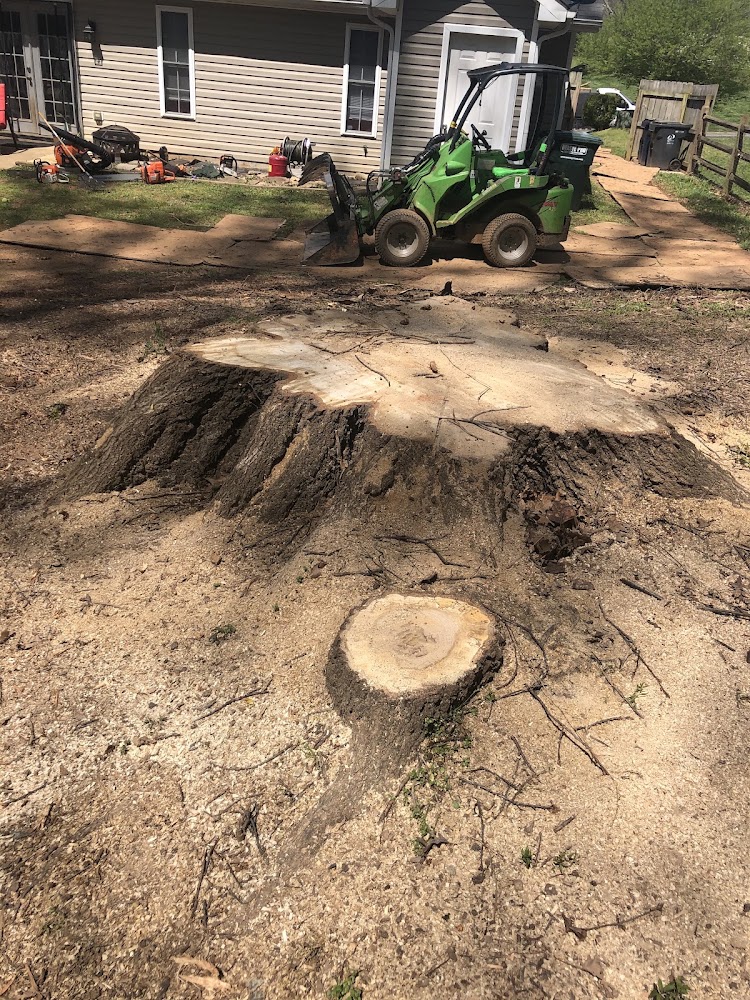 Cornerstone Stump Removal
