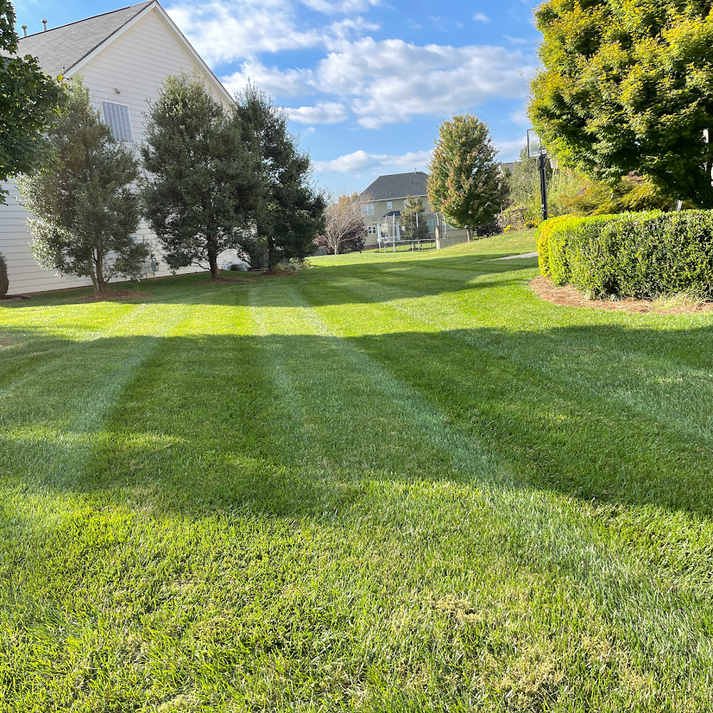 City Green Landscaping & Lawn Care LLC