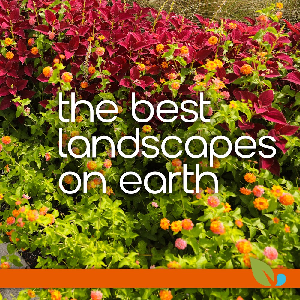 Landmark Landscapes